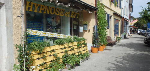 Description de l'image