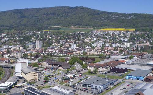 Rénovation du pont du Righi