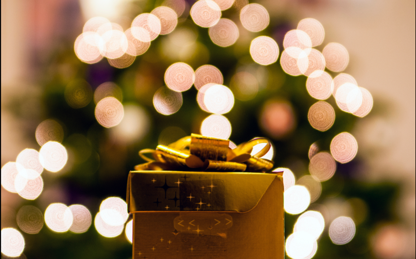 Un repas de Noël offert et livré à domicile pour lutter contre la solitude
