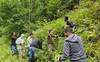 Lutte contre les plantes envahissantes dans le ruisseau de Mettembert