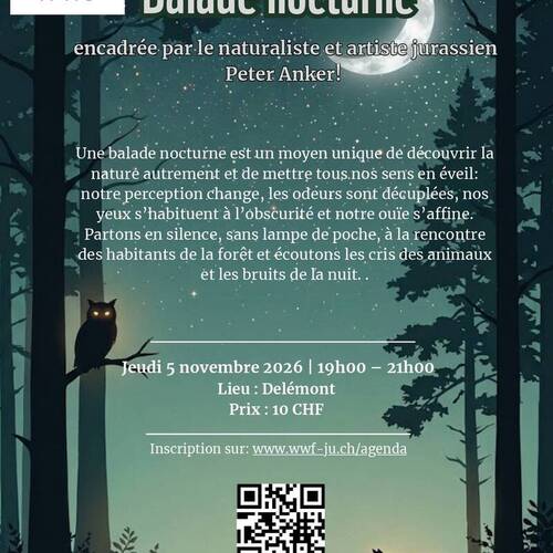 Balade nocturne