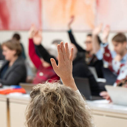 Séance publique du Conseil de Ville