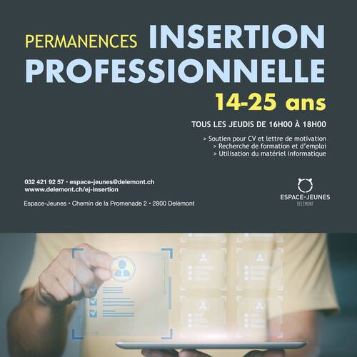 Insertion professionnelle