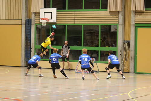 Match de Ligue A Delémont Blizzard - La Chaux-de-Fonds Beehives