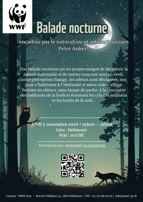 Balade nocturne