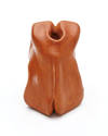 Torse nu