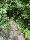 sentier