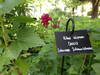 Sentier nature