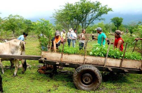 Les Services industriels de Delémont (SID) lancent une plateforme de compensation CO2