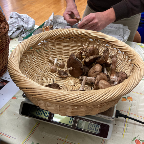 Design sans titre - 3