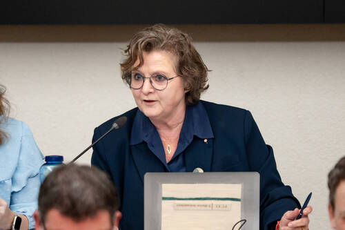 Suzanne Maître-Schindelholz - Présidente du Conseil de Ville 2026