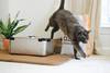 Litières pour animaux