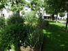 Sentier nature