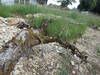 Sentier nature