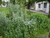 Sentier nature